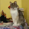 Отзыв от Ангелина Фролова